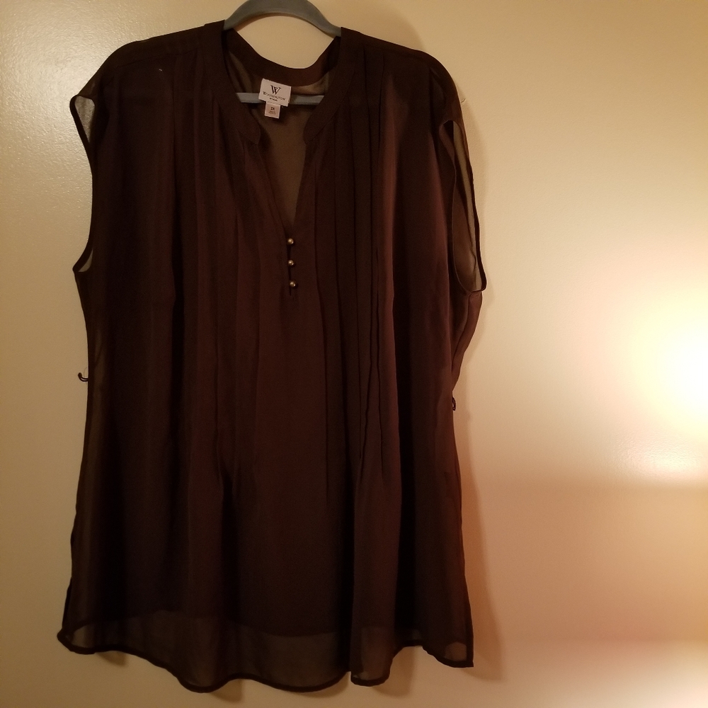 Sheer mocha top